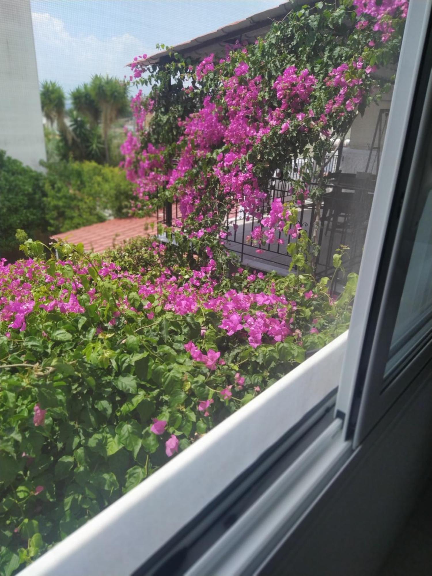 Kritharia Guesthouse Volos Екстер'єр фото
